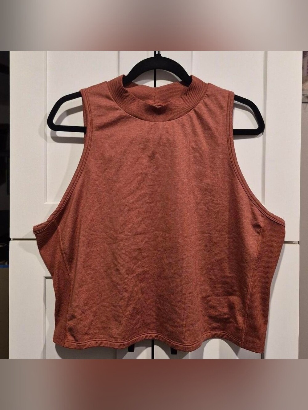 Mock Neck Sleeveless Crop Top - Rust